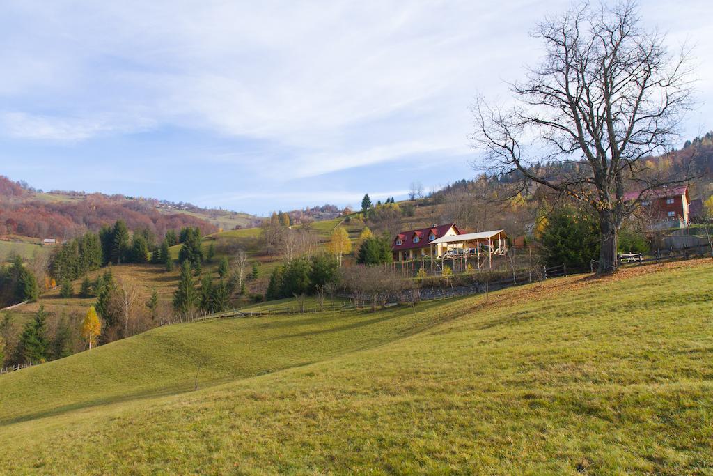 Kings Valley - Sunny Botesti Cimpeni Exterior photo