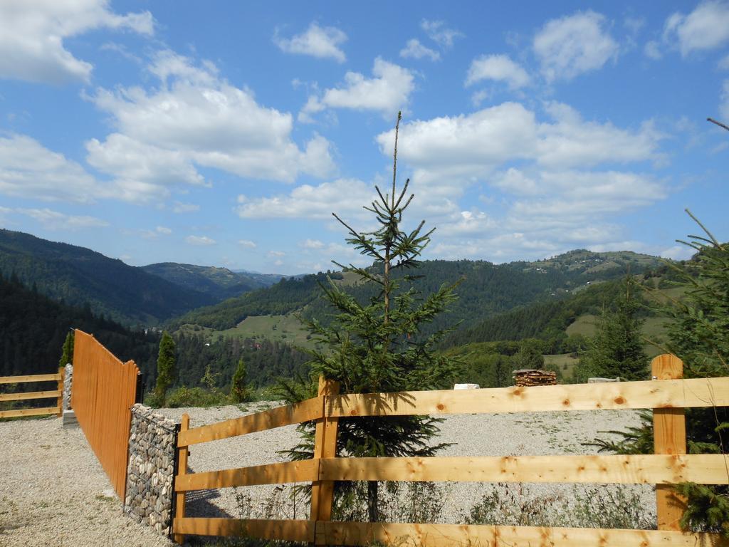 Kings Valley - Sunny Botesti Cimpeni Exterior photo